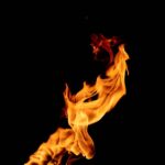 what is fire dynamics the science of fire behavior