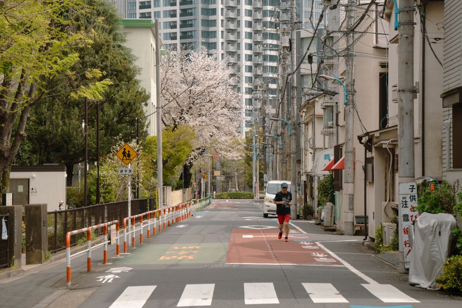 what is japanese walking