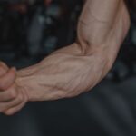 what is your forearm