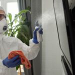 what kills mold besides bleach vinegar borax more
