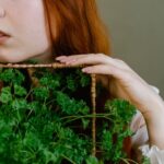 what makes a vegetable botanical vs culinary rules