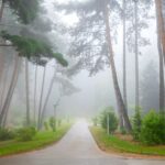 what makes it hazy outside and is it safe to breathe