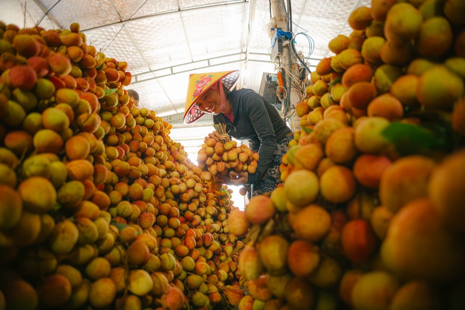 what non food agricultural products do we use