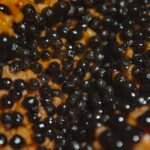 what to do with papaya seeds