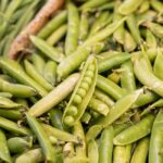 what vegetables have protein