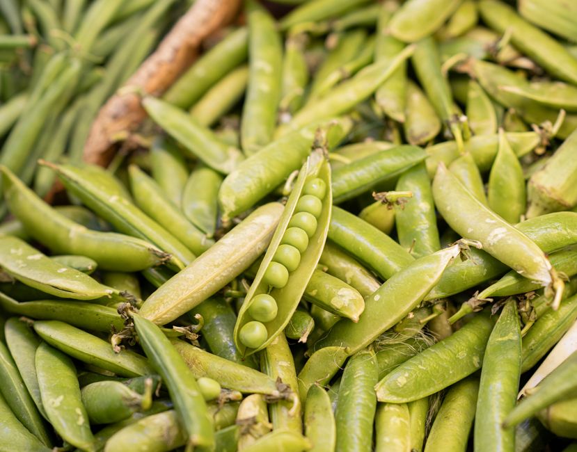 what vegetables have protein