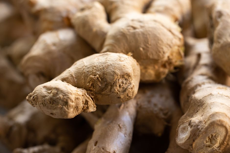 where does ginger come from southeast asia roots