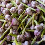 why does my car smell like garlic causes fixes
