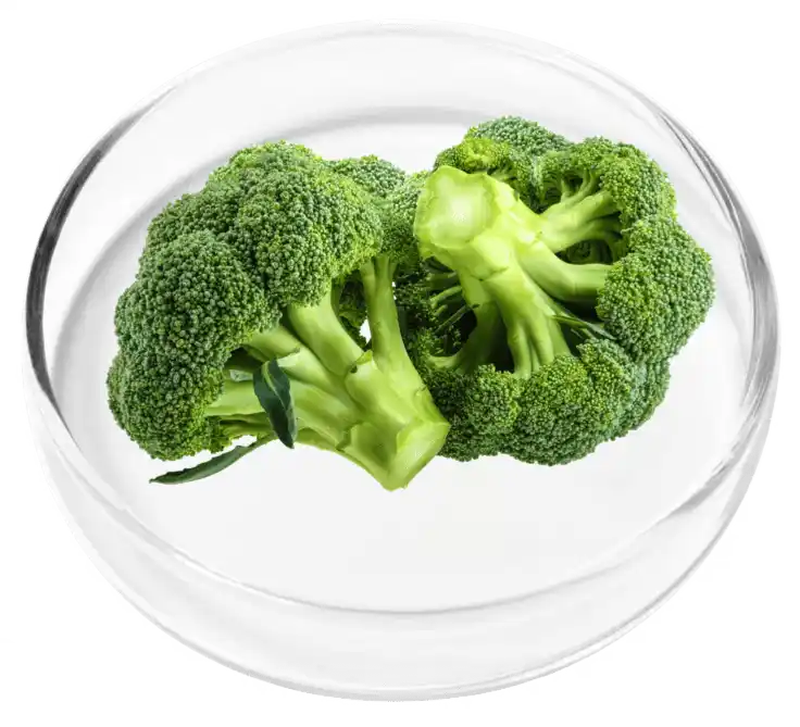 Vertigenics Reviews: Does It Stop Dizziness? Know The Truth 20 Alpha Lipoic Acid