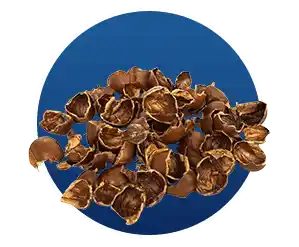 Finessa Reviews & Complaints 2026: Helps In Gut & Digestion? 18 Cascara Sagrada in Finessa