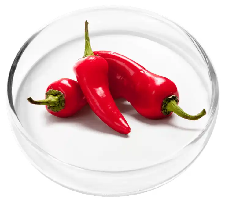 Vertigenics Reviews: Does It Stop Dizziness? Know The Truth 25 Cayenne Fruit