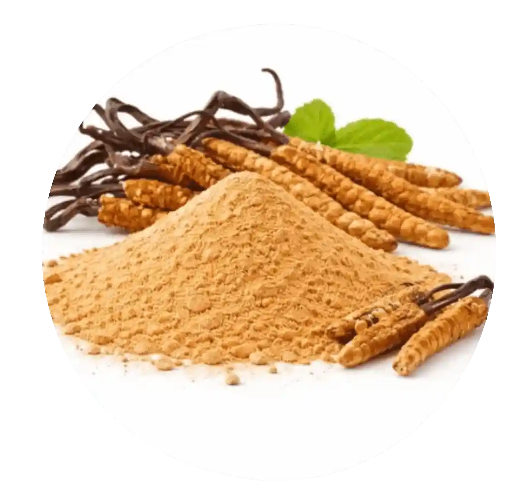 Cordyceps mushroom