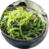 Fucoxanthin from Japanese sea kelp