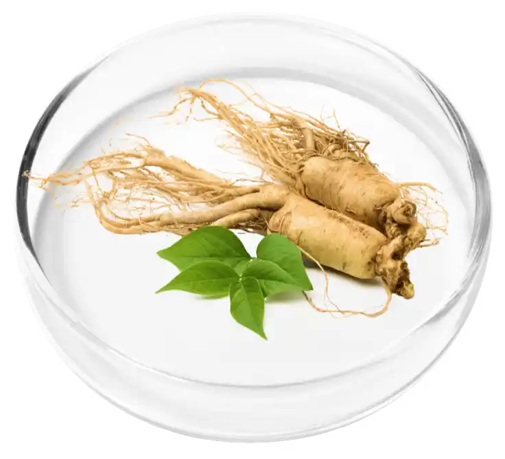 Vertigenics Reviews: Does It Stop Dizziness? Know The Truth 26 Korean Ginseng