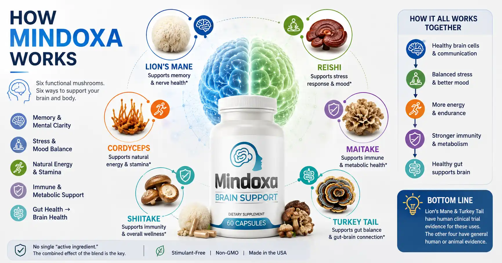 How Mindoxa Works