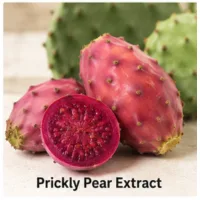 LipoJaro Reviews 2026: Real Results or Clever Marketing? 20 Prickly Pear Extract
