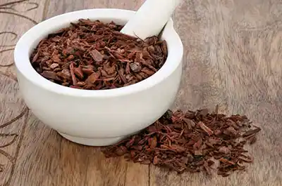 Pygeum bark extract