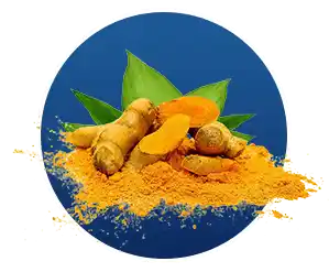 Finessa Reviews & Complaints 2026: Helps In Gut & Digestion? 20 Turmeric Curcumin in Finessa