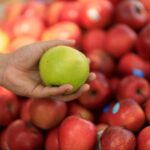 apples make you bloated