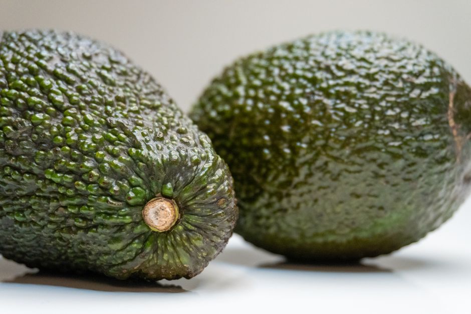 are avocados prebiotic and good for gut health