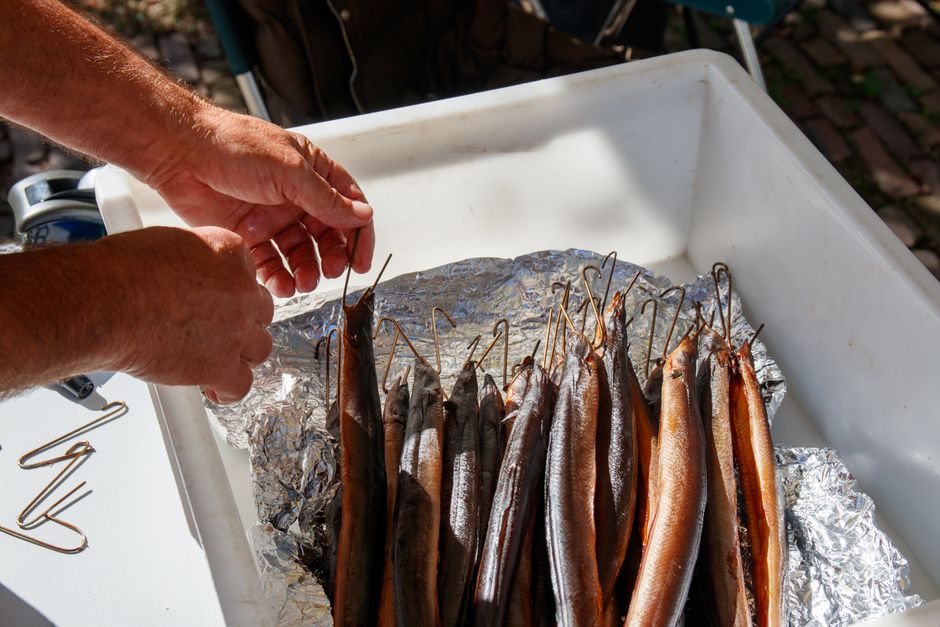 are eels poisonous the truth about eating eel