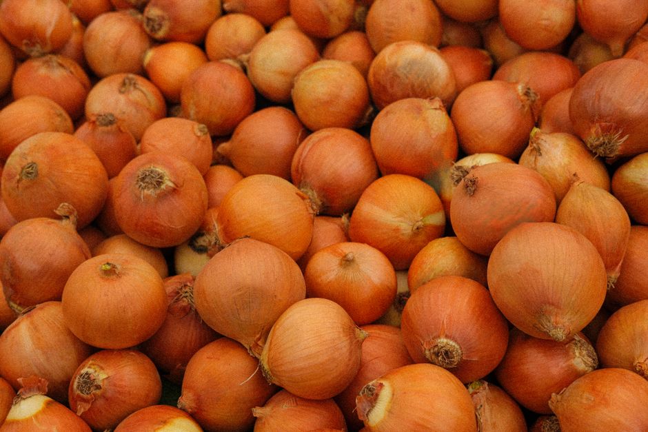 are onions a vegetable