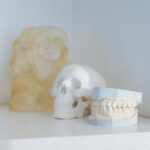 are your teeth bones