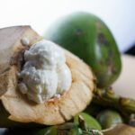 can coconut milk be frozen