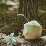 can coconut oil replace vegetable oil