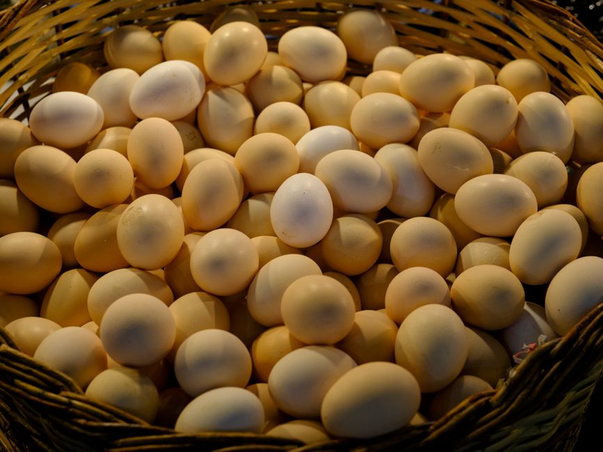 can eggs be frozen