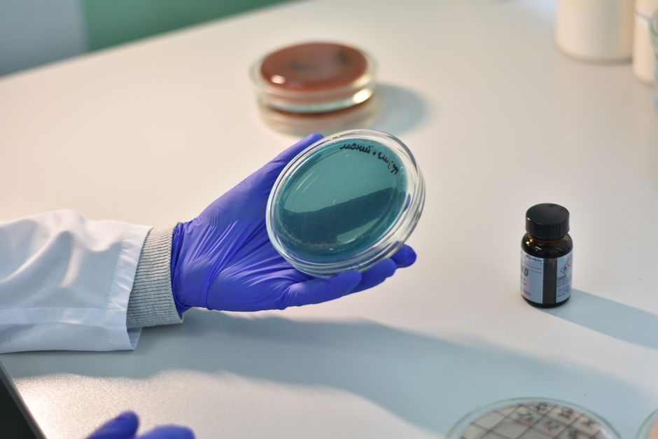 can uv light kill bacteria in water