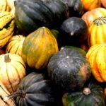 can you eat acorn squash skin