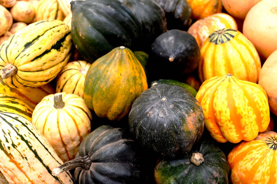 can you eat acorn squash skin