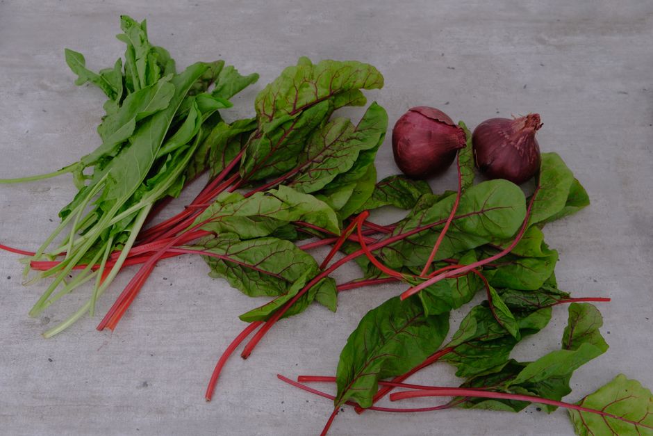 can you eat leaves from beets