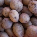 can you eat potatoes on a diet yes heres how