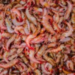can you eat the shell of a shrimp
