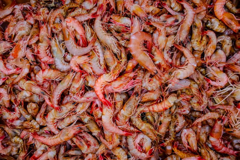 can you eat the shell of a shrimp