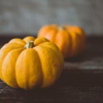 canned pumpkin nutrition information