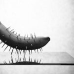 do bananas spike blood sugar