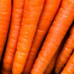 do carrots help with diarrhea the science explained