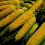do corns come back how to stop the cycle
