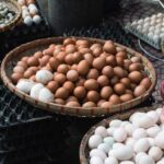 do duck eggs taste like chicken eggs