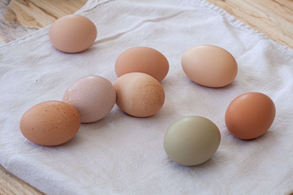 do eggs raise blood sugar or help keep it stable