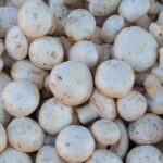 do mushrooms have vitamin b12 how much and why