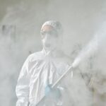 does fumigation kill mold the truth about fogging