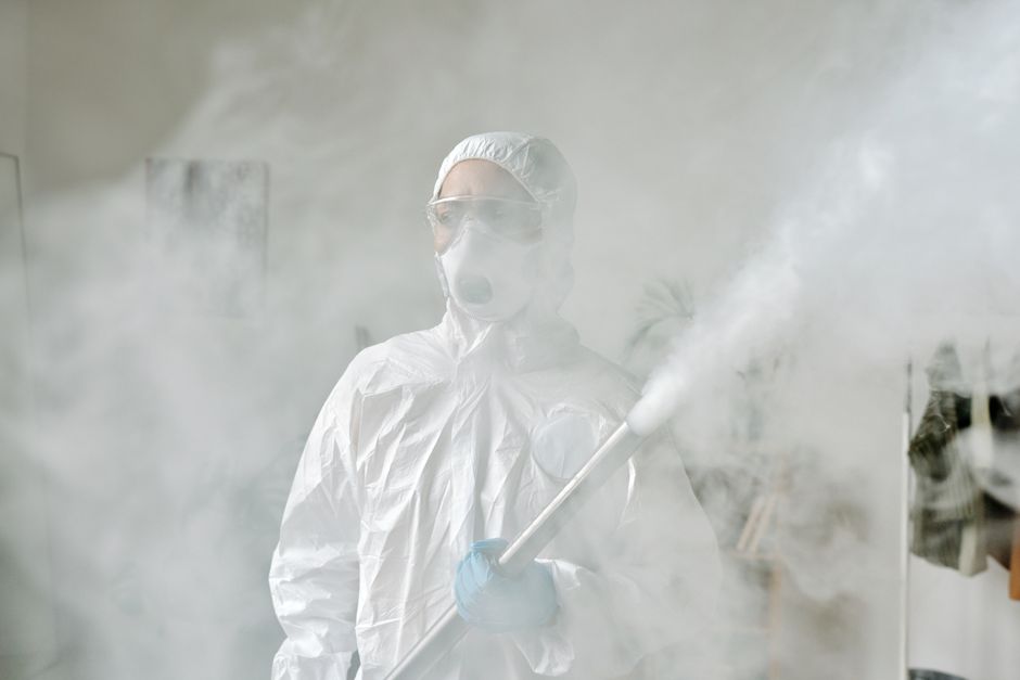does fumigation kill mold the truth about fogging