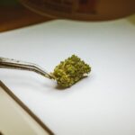 does indica lower blood pressure or raise it