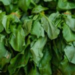 does spinach contain iron