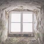 does uv light kill mold spores