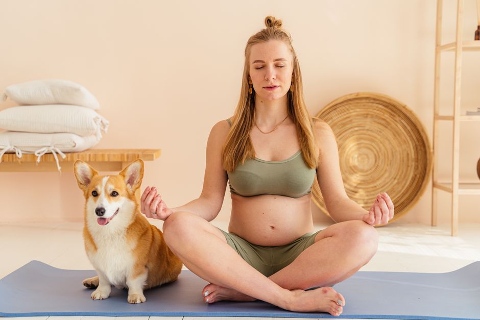 ease separation anxiety in dogs